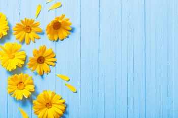 HUAYI blossom floral wood board background flowers on blue wooden planks backdroop photophone studio photocall props MZ-1100
HUAYI blossom floral wood board background flowers on blue wooden planks backdroop photophone studio photocall props MZ-1100