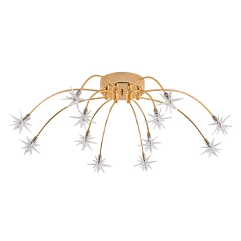 Pentagram Branching Type LED Ceiling Lamp Nordic Luxury Decor Ceiling Lights Living Room Bedroom Simple Lighting Light Fixture
Pentagram Branching Type LED Ceiling Lamp Nordic Luxury Decor Ceiling Lights Living Room Bedroom Simple Lighting Light Fixture