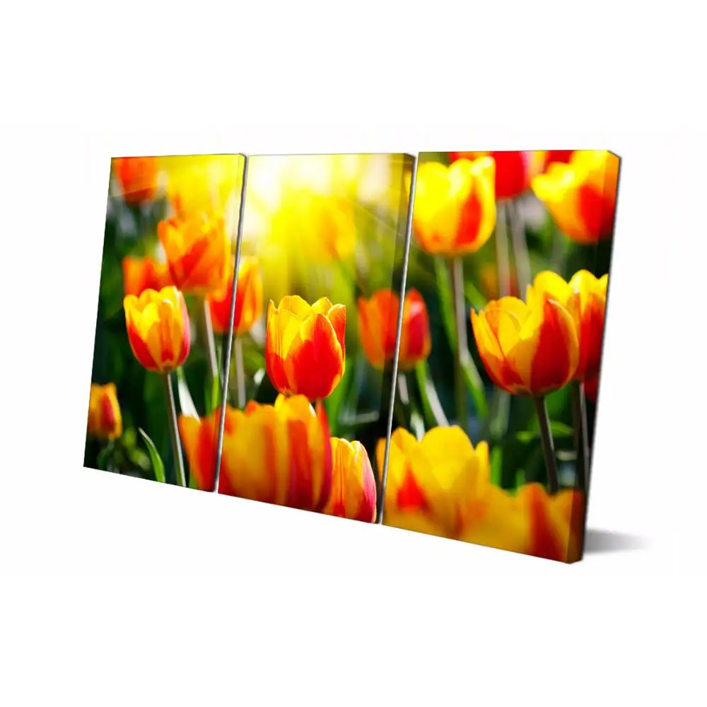 3 Panel printed painting Tulips Painting Canvas Wall Art Picture Home Decoration Living Room Canvas Modern painting LS126
3 Panel printed painting Tulips Painting Canvas Wall Art Picture Home Decoration Living Room Canvas Modern painting LS126