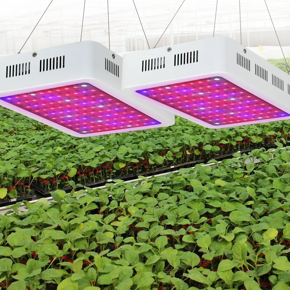 New 1000W LED Grow Light Full spectrum with veg/bloom switches for For Indoor Greenhouse Grow Tent Plants
New 1000W LED Grow Light Full spectrum with veg/bloom switches for For Indoor Greenhouse Grow Tent Plants