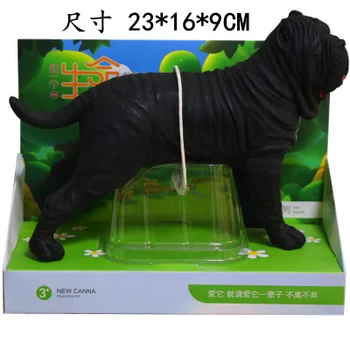 Mollusk livestock Wild tiger Alligator Rhinoceros ANIMDL and dog dino horse dolls sculpture crafts statue home decoration
Mollusk livestock Wild tiger Alligator Rhinoceros ANIMDL and dog dino horse dolls sculpture crafts statue home decoration