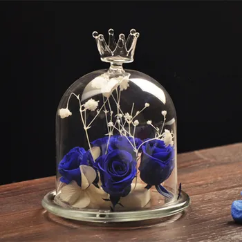 Free Shipping 2sets/pack Crown Top Glass Dome Vase Glass Base Glass Cover Microscape Terrarium Glass Gifts Wedding Decoration
Free Shipping 2sets/pack Crown Top Glass Dome Vase Glass Base Glass Cover Microscape Terrarium Glass Gifts Wedding Decoration