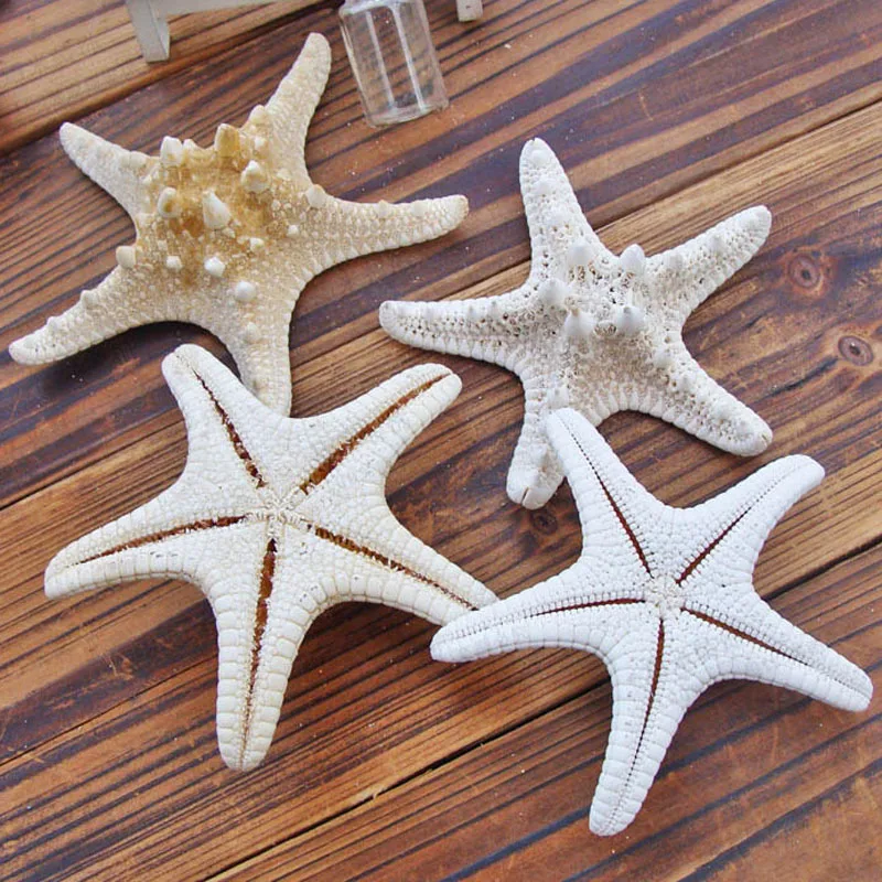 1pcs Starfish Miniature Figurine Home Decoration Accessories Craft Ornaments Sea Stars DIY Gifts 5-10cm
1pcs Starfish Miniature Figurine Home Decoration Accessories Craft Ornaments Sea Stars DIY Gifts 5-10cm