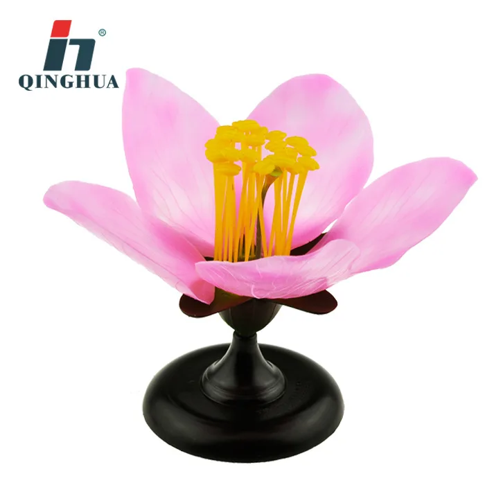 Detachable Giant Dicot Flower Peach Blossom Flower Anatomy Model Plant Anatomical Model Biology Teaching Experiment Equipment
Detachable Giant Dicot Flower Peach Blossom Flower Anatomy Model Plant Anatomical Model Biology Teaching Experiment Equipment