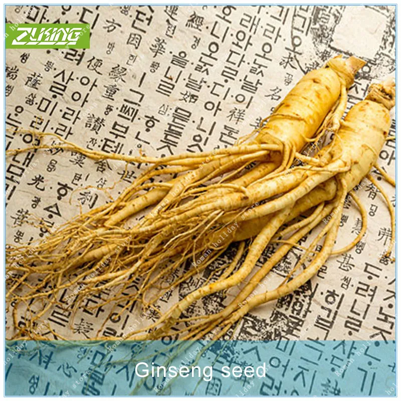 50PCS Ginseng Bonsai Plants For Home Garden Fast Growing Garden Plants Fast Growing Plant
50PCS Ginseng Bonsai Plants For Home Garden Fast Growing Garden Plants Fast Growing Plant