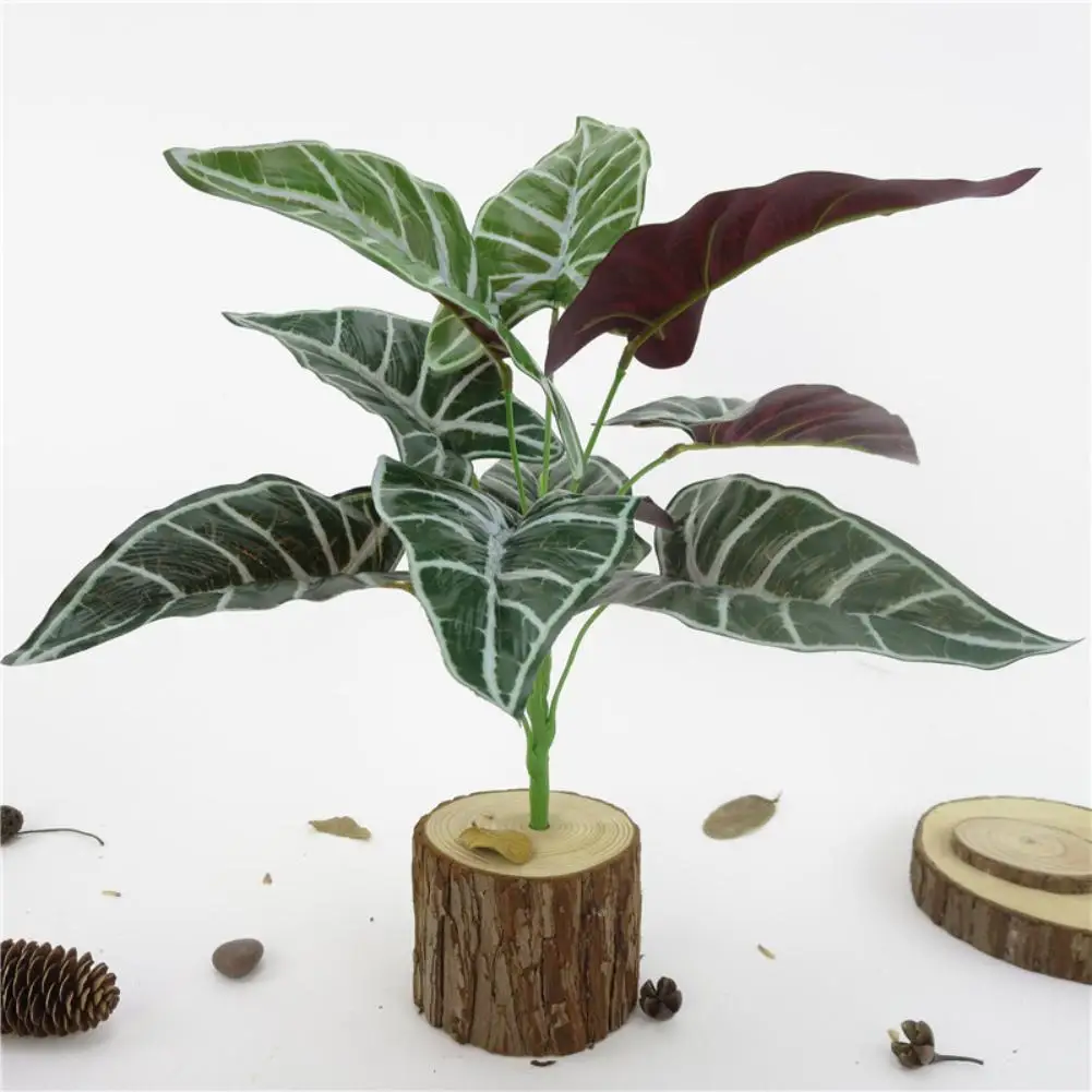 1Pc Artificial Alocasia Leaves Fake Plant Home Office Party Photography Decor
1Pc Artificial Alocasia Leaves Fake Plant Home Office Party Photography Decor