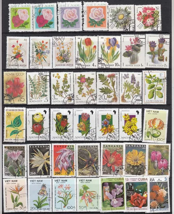 Description Picture 4 of item50Pcs/Set Flowers All Different From Many Countries NO Repeat With Postmark Postage Stamps for Collecting