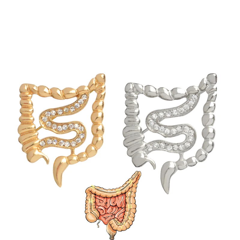 Gut map Shape Brooch Gold Silver zinc alloy Organ medical Pin jewelry Gastroenterology Medicine brooch gift for Doctor Nurse
Gut map Shape Brooch Gold Silver zinc alloy Organ medical Pin jewelry Gastroenterology Medicine brooch gift for Doctor Nurse