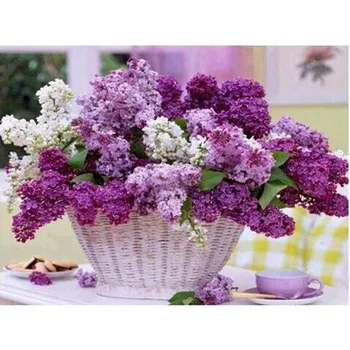 3D DIY Diamond Painting Flowers of Basket Crystals cross stitch kits diamond embroidery Lilac mosaic rhinestones A047R
3D DIY Diamond Painting Flowers of Basket Crystals cross stitch kits diamond embroidery Lilac mosaic rhinestones A047R