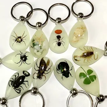 free shipping yqtdmy 20 pcs High Quality ice drop jewelry mix real scorpion&spider&crab&beetle keychain Wealth TAXIDERMY GIFT
free shipping yqtdmy 20 pcs High Quality ice drop jewelry mix real scorpion&spider&crab&beetle keychain Wealth TAXIDERMY GIFT