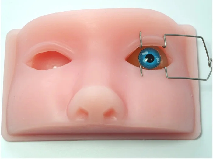 Ophthalmic model phacoemulsification micromanipulation ophthalmology practice teaching model
Ophthalmic model phacoemulsification micromanipulation ophthalmology practice teaching model