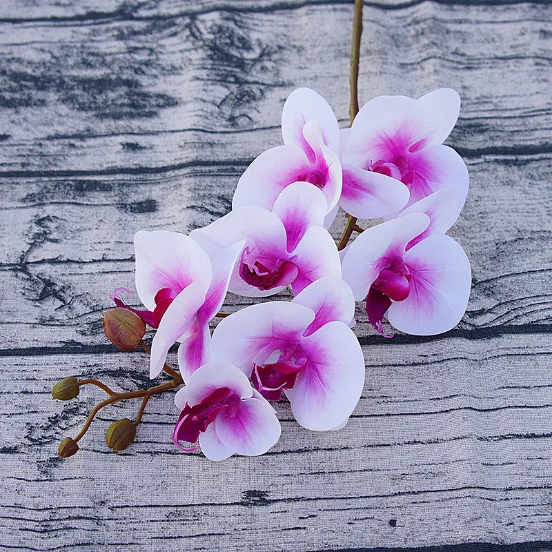 Real touch PU Artificial Butterfly Orchid flower branch DIY Fake flowers wedding decoration Orchid Floral Christmas Party
Real touch PU Artificial Butterfly Orchid flower branch DIY Fake flowers wedding decoration Orchid Floral Christmas Party
