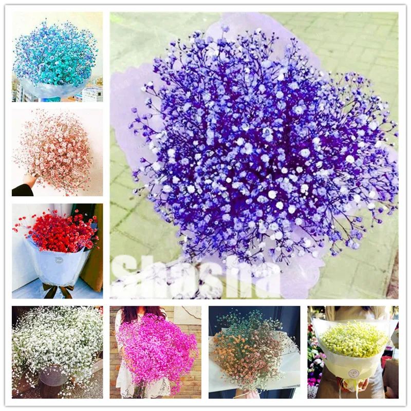 200Pcs Purple Gypsophila Paniculata Bonsai Garden Multi-Color Sky Stars Flower Ornaments Plant Natural Growth Wedding Decoration
200Pcs Purple Gypsophila Paniculata Bonsai Garden Multi-Color Sky Stars Flower Ornaments Plant Natural Growth Wedding Decoration