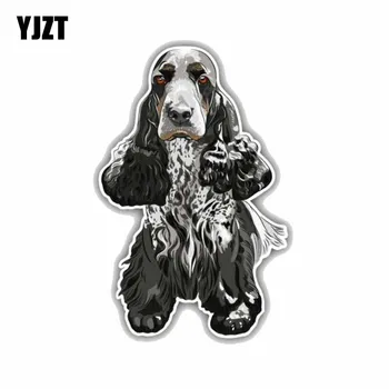 YJZT 7.9CMx12CM British Cocker Spaniel Colored PVC High Quality Car Sticker C1-9001
YJZT 7.9CMx12CM British Cocker Spaniel Colored PVC High Quality Car Sticker C1-9001