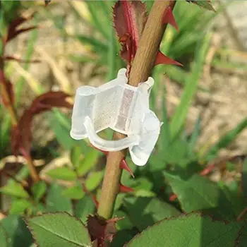 200pcs Transparent Gardening Grafting Clips Plastic Vine Seedlings Grafted Branches Clip Vegetable Vine Bushes Garden Supplies
200pcs Transparent Gardening Grafting Clips Plastic Vine Seedlings Grafted Branches Clip Vegetable Vine Bushes Garden Supplies