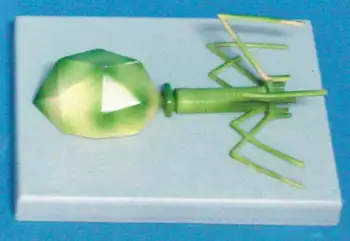 Phage Virus Model Virus Structure Biology Teaching Model Medical Models Medical Teaching Supplies Biological Teaching Equipment
Phage Virus Model Virus Structure Biology Teaching Model Medical Models Medical Teaching Supplies Biological Teaching Equipment