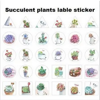30packs/lot New Succulent plants series Label Sticker /Diary diy sealing sticker /School stationery office supplies GT219
30packs/lot New Succulent plants series Label Sticker /Diary diy sealing sticker /School stationery office supplies GT219