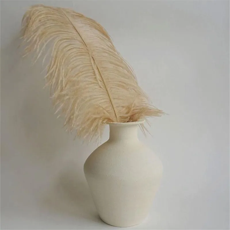 Flower arrangement Feather Ostrich hair Home romantic accessories Window display Props Nordic decoration home
Flower arrangement Feather Ostrich hair Home romantic accessories Window display Props Nordic decoration home