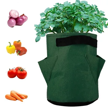 1Pc Vegetable Plant Grow Bag DIY Potato Grow Planter PE Cloth Tomato Planting Container Bag Thicken Garden Pot Garden Supplies
1Pc Vegetable Plant Grow Bag DIY Potato Grow Planter PE Cloth Tomato Planting Container Bag Thicken Garden Pot Garden Supplies