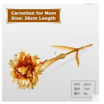 24K Gold Carnation Flower Teacher Day Mother Day Gift Golden Decorative Flower Christmas Gift 26cm
24K Gold Carnation Flower Teacher Day Mother Day Gift Golden Decorative Flower Christmas Gift 26cm