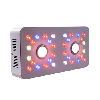 Qkwin Dimmable COB+double chip led grow light 1000W with Full spectrum with dual LENS for plants grow lighting
Qkwin Dimmable COB+double chip led grow light 1000W with Full spectrum with dual LENS for plants grow lighting