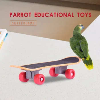 New Arrival Parrot Mini Skateboard Plastic Bird Training Toys Parrot Educational Toys Ease Pressure Scrub Scooter Random Color
New Arrival Parrot Mini Skateboard Plastic Bird Training Toys Parrot Educational Toys Ease Pressure Scrub Scooter Random Color