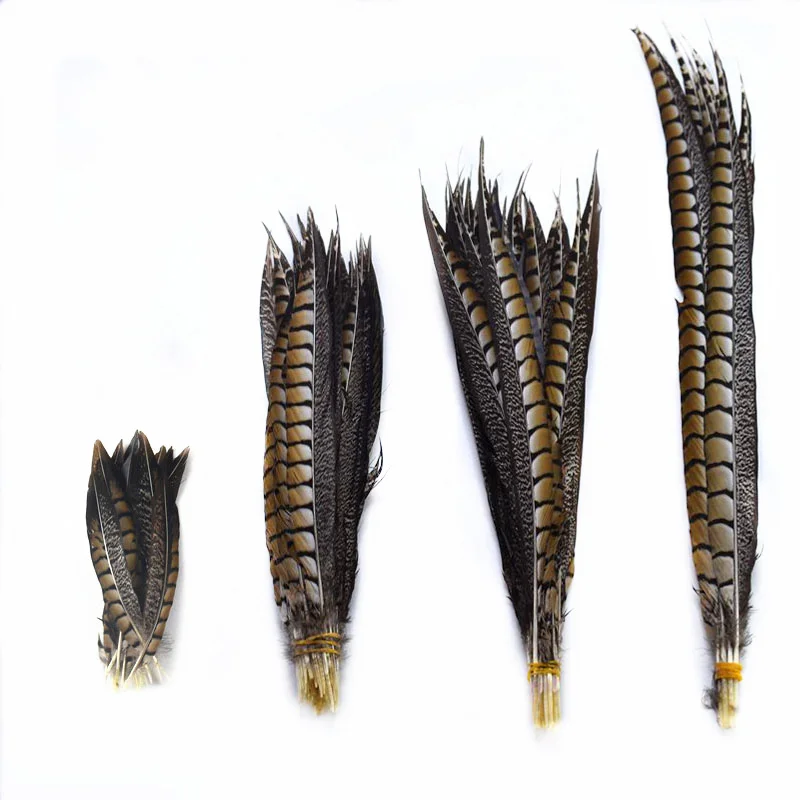 10Pcs Natural Lady Amherst Pheasant Feathers Party decoration plumas 10-120CM DIY long feathers craft wedding Dress Accessories
10Pcs Natural Lady Amherst Pheasant Feathers Party decoration plumas 10-120CM DIY long feathers craft wedding Dress Accessories