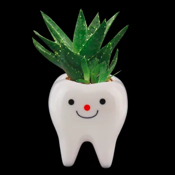 2017 Bonsai Plants Ceramic Flower Pot DIY Small Succulent Planter Tooth Design 7*6*6cm
2017 Bonsai Plants Ceramic Flower Pot DIY Small Succulent Planter Tooth Design 7*6*6cm
