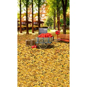 Vinyl photography background Computer Printed autumn leaves park children newborn Photography backdrops for Photo studio
Vinyl photography background Computer Printed autumn leaves park children newborn Photography backdrops for Photo studio