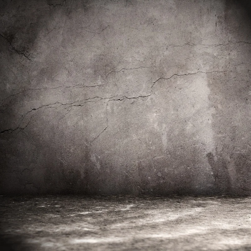 Laeacco Grunge Old Cement Wall Floor Portrait Photography Backgrounds Customized Photography Backdrops For Photo Studio
Laeacco Grunge Old Cement Wall Floor Portrait Photography Backgrounds Customized Photography Backdrops For Photo Studio