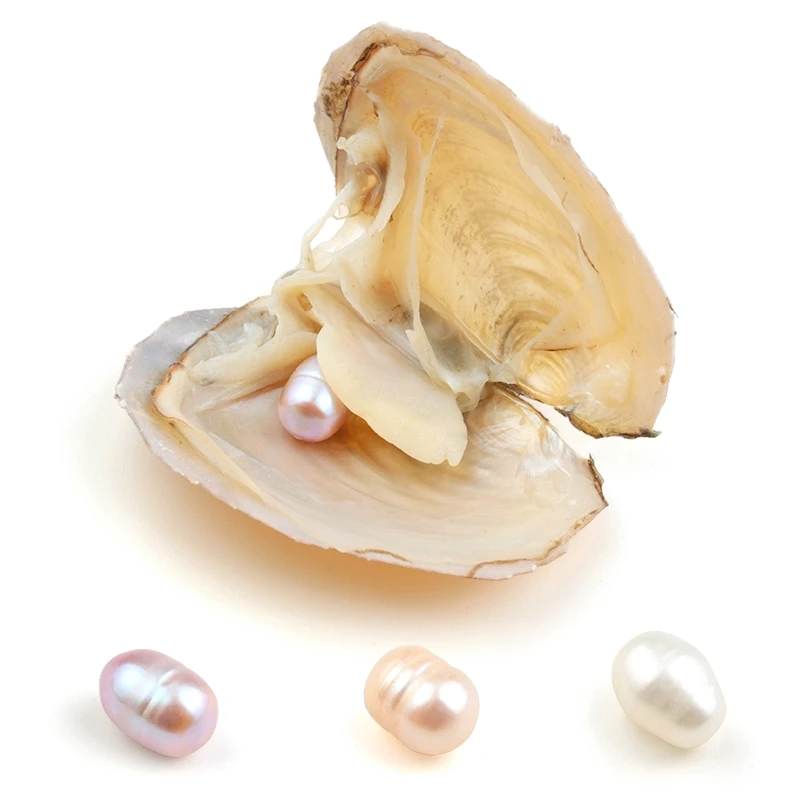 1PCS Vacuum-Packed 8-9mm oval Akoya Pearls in Oyster White Pink Lavender Freshwater Pearls for jewelry making Surprise gift
1PCS Vacuum-Packed 8-9mm oval Akoya Pearls in Oyster White Pink Lavender Freshwater Pearls for jewelry making Surprise gift