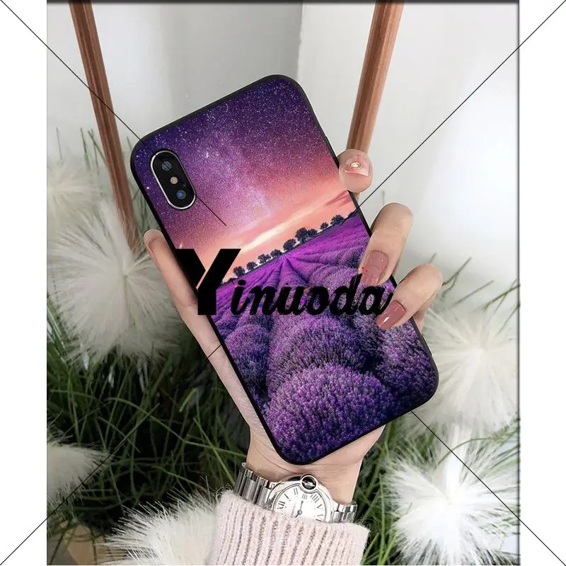 Simple lavender Purple flowers