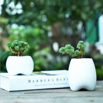 I pc Tooth Shape White Ceramic Flower Pot Modern Design Planter Teeth Model Mini Desktop Pot Creative Gift(without plants)
I pc Tooth Shape White Ceramic Flower Pot Modern Design Planter Teeth Model Mini Desktop Pot Creative Gift(without plants)