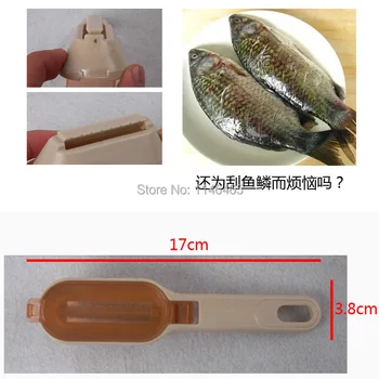 Free shipping practical lid ichthyosis planing scraping scales Family kitchen essential
Free shipping practical lid ichthyosis planing scraping scales Family kitchen essential