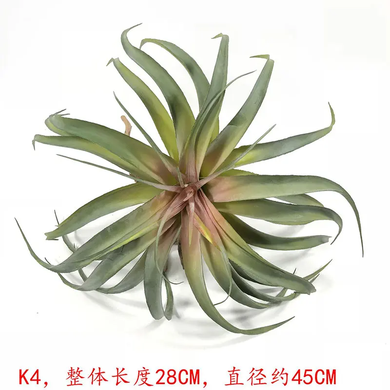 K4红