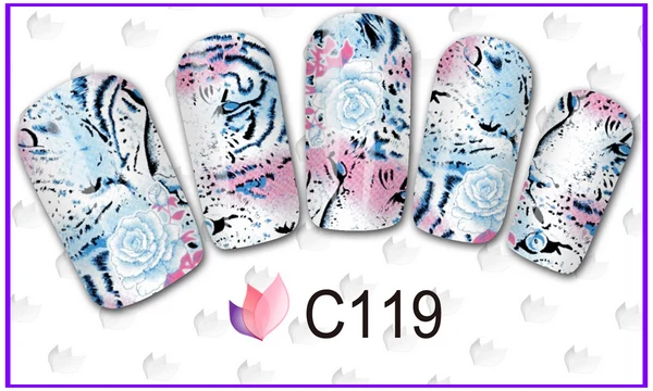 C119