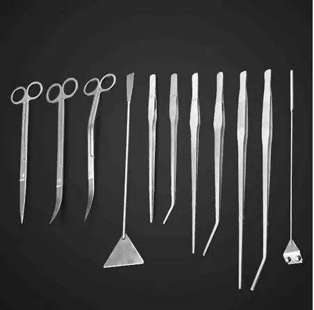 High Quality Stainless Aquarium Tank Aquatic Plant Maintenance Curve Straight Tweezers Curved Scissors Tools Kit Set
High Quality Stainless Aquarium Tank Aquatic Plant Maintenance Curve Straight Tweezers Curved Scissors Tools Kit Set