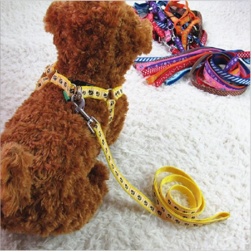 1pc New Small Dog Pet Puppy Cat Adjustable Nylon Rope Harness Walking Chest Strap 6 Colors
1pc New Small Dog Pet Puppy Cat Adjustable Nylon Rope Harness Walking Chest Strap 6 Colors