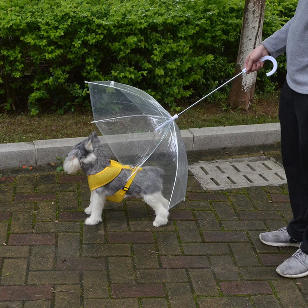 Pet Raincoat Dog Raincoat Transparent Pet Umbrella Small Dog Umbrella Rain Gear Keeps Pet Dry Comfortable Pet Dog Supplies
Pet Raincoat Dog Raincoat Transparent Pet Umbrella Small Dog Umbrella Rain Gear Keeps Pet Dry Comfortable Pet Dog Supplies