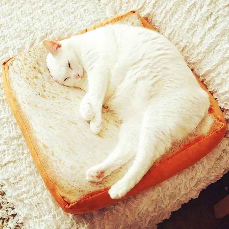 Pet Bed for Dogs Cat Mat Pets Blanket Kennel Teddy Four Seasons Durable Soft Toast Bread and Poached Eggs Mats
Pet Bed for Dogs Cat Mat Pets Blanket Kennel Teddy Four Seasons Durable Soft Toast Bread and Poached Eggs Mats