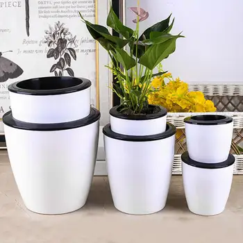 Creative Round Plant Flower Pot Bonsai Home Decor PP Automatic Hydroponics Planting Pot and Lazy Table Desk Flowerpots
Creative Round Plant Flower Pot Bonsai Home Decor PP Automatic Hydroponics Planting Pot and Lazy Table Desk Flowerpots