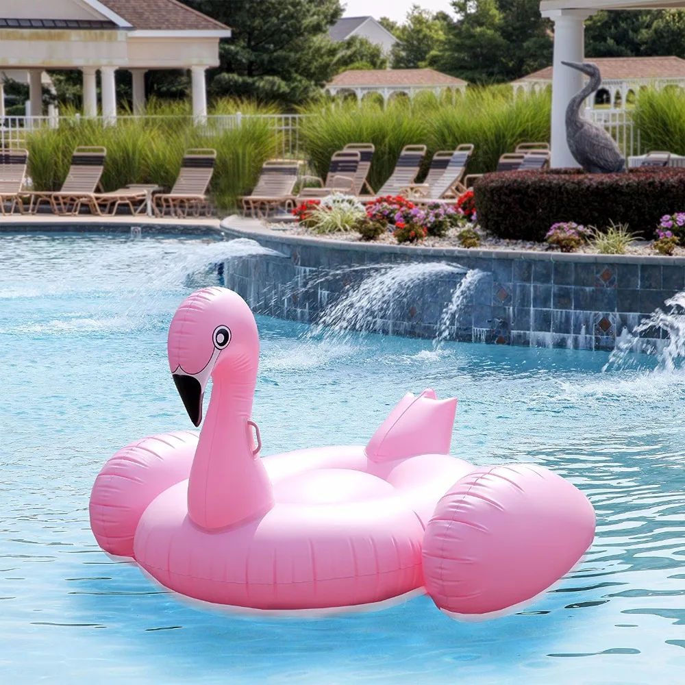 Pinky In The Pool Pinky Swimming Pool Pinky Swimming Pool Pinky Swimming Pool Pinky