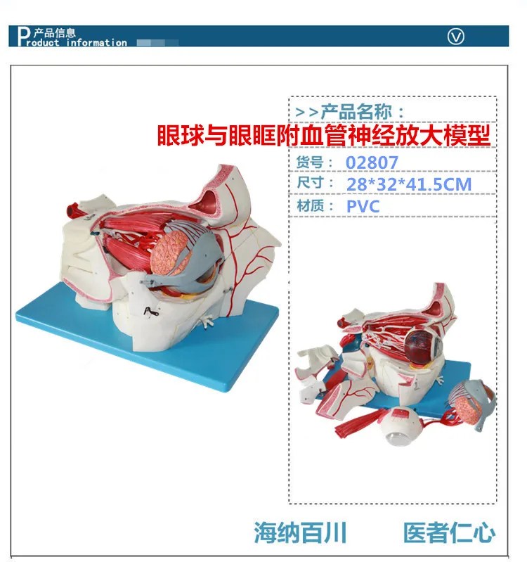 //img.alicdn.com/imgextra/i2/2529213246/TB2oAHoXFXXXXbLXpXXXXXXXXXX_!!2529213246.jpg