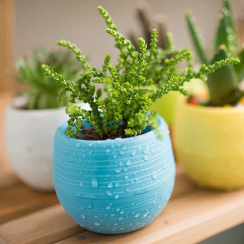 Mini Round Plastic Meat Plant Flower Pot Garden Home Office Decor Micro Landscape Planter High Quality
Mini Round Plastic Meat Plant Flower Pot Garden Home Office Decor Micro Landscape Planter High Quality