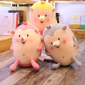 Lucky Boy Sunday Girls Boys Cute Hedgehog Plush Toy Hedgehog Plush Doll for Girl Boy Kids Children Birthday Christmas Gift 
Lucky Boy Sunday Girls Boys Cute Hedgehog Plush Toy Hedgehog Plush Doll for Girl Boy Kids Children Birthday Christmas Gift