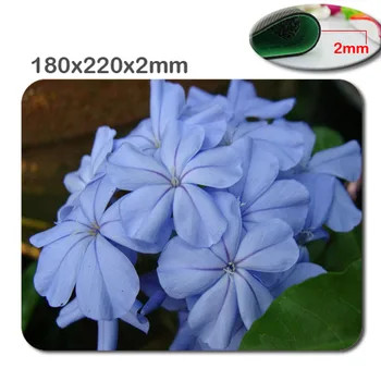New Custom Fast printing flowers Gaming Mouse Pad Quadrate Non-slip Backing size is 220mmX180mmX2mm.durable office and .
New Custom Fast printing flowers Gaming Mouse Pad Quadrate Non-slip Backing size is 220mmX180mmX2mm.durable office and .
