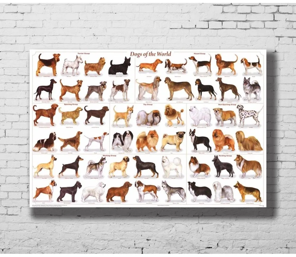 G-280 Cute Dog Breeds Art 01 Fabric Home Decoration Art Poster Wall Canvas 12x18 20x30 24x36inch Print
G-280 Cute Dog Breeds Art 01 Fabric Home Decoration Art Poster Wall Canvas 12x18 20x30 24x36inch Print