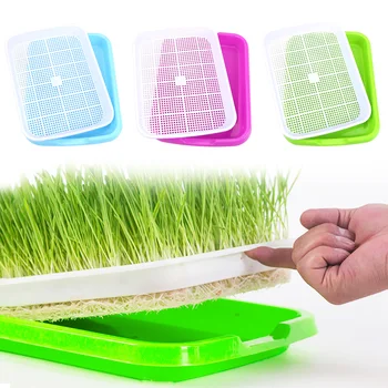 1 set Hydroponics Seedling TrayDouble Layer Sprout Plate Plastic Nursery Tray Growing Vegetables seedlings
1 set Hydroponics Seedling TrayDouble Layer Sprout Plate Plastic Nursery Tray Growing Vegetables seedlings