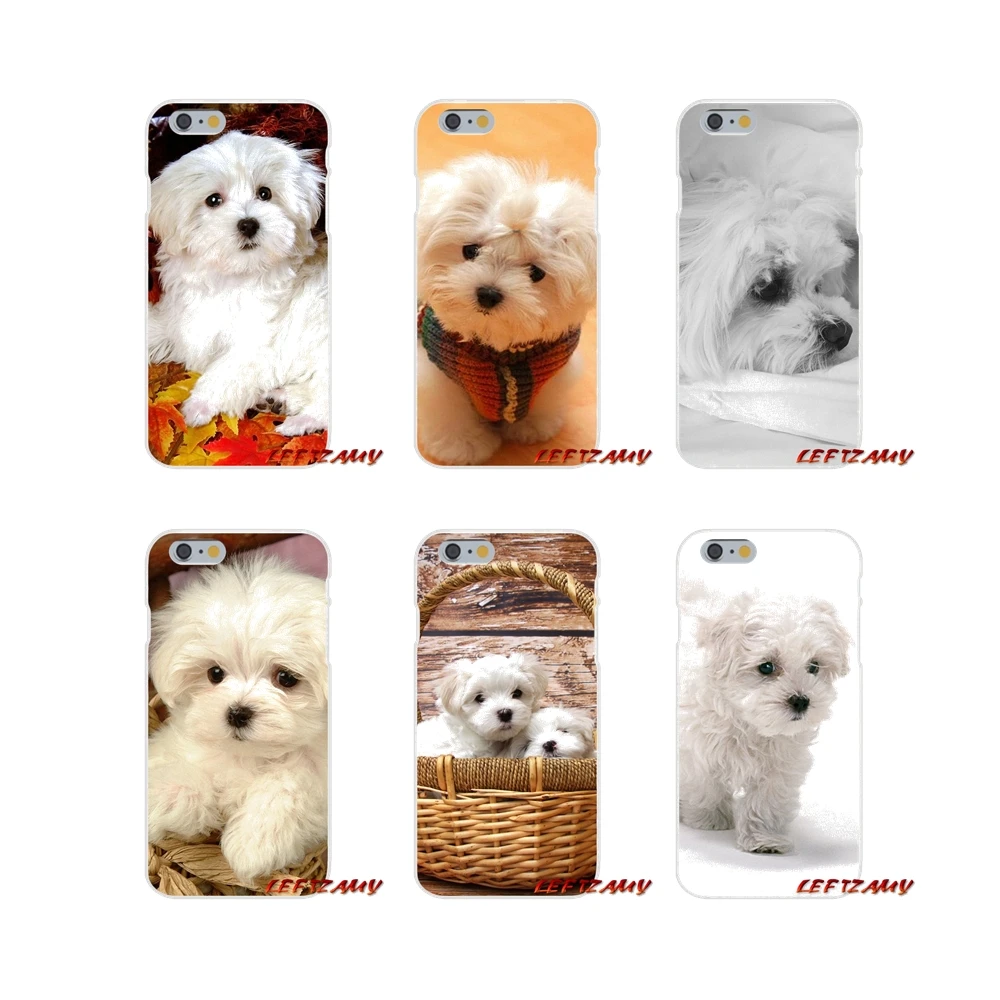 Accessories Phone Cases Covers cute white maltese dog puppies For Samsung Galaxy A3 A5 A7 J1 J2 J3 J5 J7 2015 2016 2017
Accessories Phone Cases Covers cute white maltese dog puppies For Samsung Galaxy A3 A5 A7 J1 J2 J3 J5 J7 2015 2016 2017