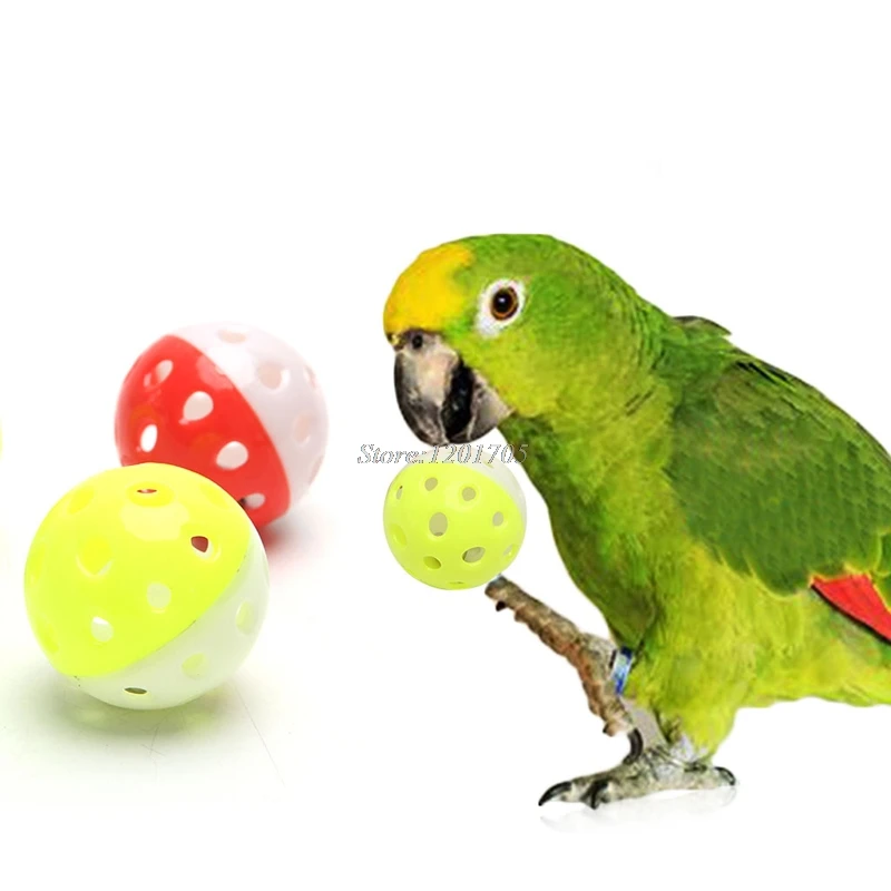 Pet Parrot Toy Bird Hollow Bell Ball For Parakeet Cockatiel Chew Fun Cage Toys JUN13
Pet Parrot Toy Bird Hollow Bell Ball For Parakeet Cockatiel Chew Fun Cage Toys JUN13